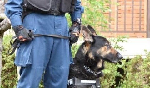 京都・南丹市の小6不明に新情報か...どうなる？自宅周辺で大掛かりな捜索の行方