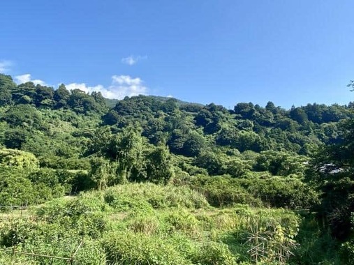 犯人は捜査のかく乱を狙った土地勘のある人物なのか（画像はイメージ）
