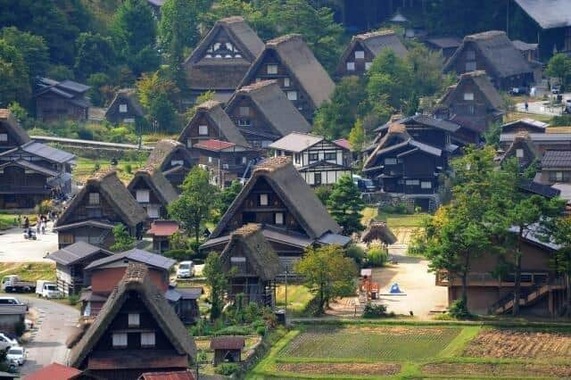世界遺産・白川郷でもクマ被害