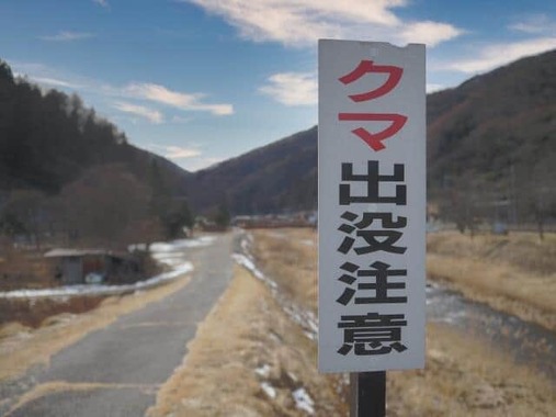 冬眠明けの春グマの出没が増加傾向（画像はイメージ）