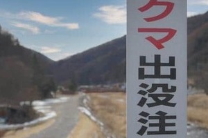 人里に食べ物があると学習した春グマが各地に出没　「異常事態と言ってよい」と専門家