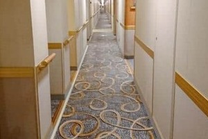 ハンタウイルス集団感染疑いのクルーズ船に日本人乗客　「新型コロナの時の印象が...」と安住紳一郎アナ
