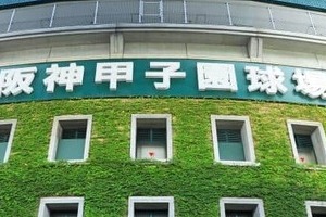 阪神・高橋遥人投手、なぜ打たれないのか...圧巻の3連続完封　球界OBが指摘する「打ちにくい球質」とは