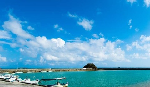 辺野古沖事故「他責、すり替え」はおかしい　被害者は「誰かの主張のために沖縄へ行ったわけではありません」