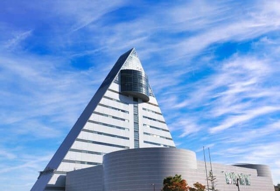 青森市の中心街にクマが出現したという（画像はイメージ）