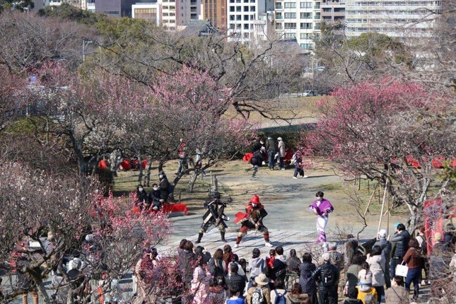 毎年恒例の「梅まつり」でにぎわう舞鶴公園（公式サイトのフォトギャラリーより）