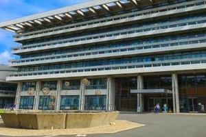 奈良のシカに女性が腰掛け「乗れる乗れる」...動画拡散　県「非常に不適切」、「直接接触はやめて」訴え