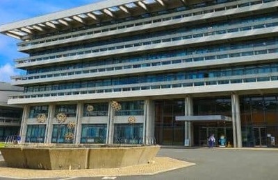 奈良のシカに女性が腰掛け「乗れる乗れる」...動画拡散　県「非常に不適切」、「直接接触はやめて」訴え