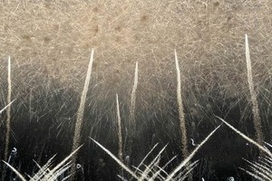 浴衣姿で次々フェンスを乗り越え...X動画が波紋　足立区の花火大会、荒川河川敷で何があったのか