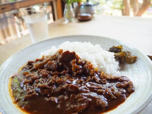 内間さんはカレーを食べていたところハヤシライスを勧められたという（画像はイメージ）