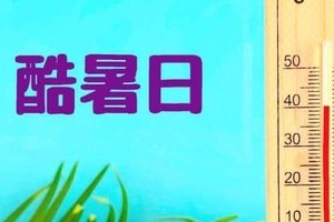 今年初の「酷暑日」、40度超えたのはどこ？　ミヤネ屋、「速報です！」と伝える