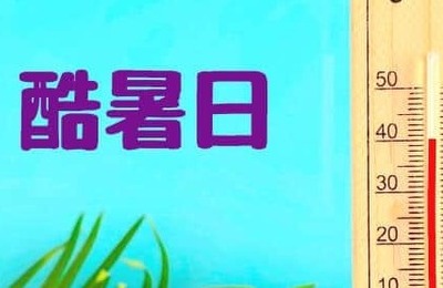 今年初の「酷暑日」、40度超えたのはどこ？　ミヤネ屋、「速報です！」と伝える