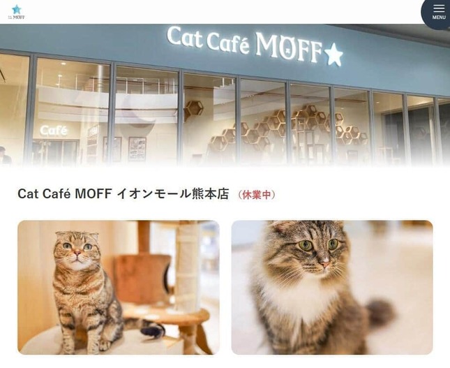 Cat Café MOFF イオンモール熊本店（MOFF公式サイトより）