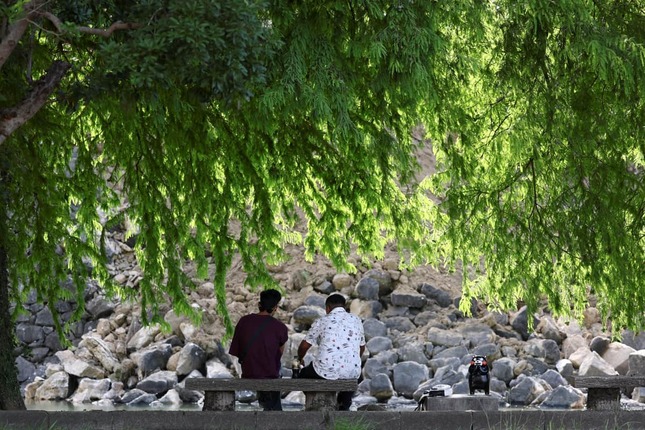 地震は八代市に大きな被害をもたらした。写真は石垣が崩れた八代城の様子（写真：ロイター/アフロ）
