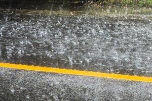 住宅街でも溺死...千葉豪雨の教訓「水位はひざ下で歩行困難」「濁った水だと段差が分からず転倒」識者が指摘