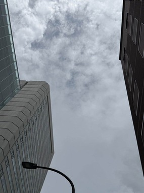「脳天を突き抜けるような痛み」を経験した後の光景（堀ちえみさんのブログから）
