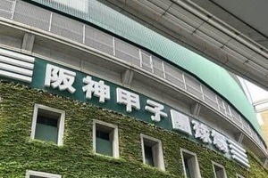 阪神・藤川球児監督が死球で苛立ち...ケガで戦線離脱の選手も出て　「球場の備品に当たらないで」と阪神OB