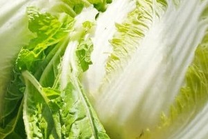 中国で「発がん物質漬け」白菜が発覚　日本への影響は？「ミヤネ屋」が心配