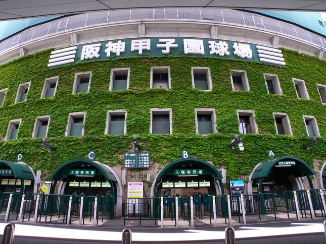 横浜高校3年・織田翔希選手の投球が話題に（画像はイメージ）