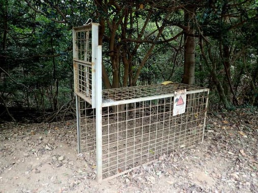 イノシシ用の捕獲わな
