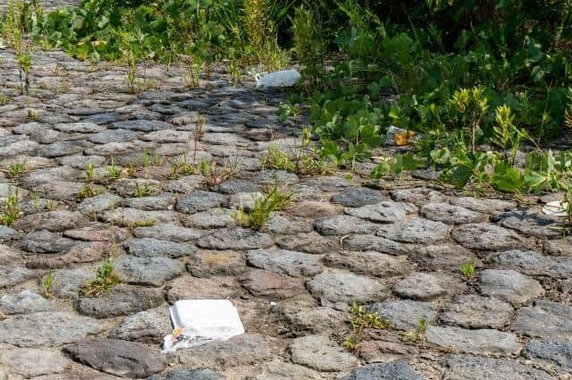問題となっている河川敷バーベキューでのマナー違反（画像はイメージ）
