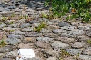河川敷バーベキューで不法投棄、騒音だけでなく...新たに「クマ」問題が浮上　事故が起きる前に対策を講じる必要
