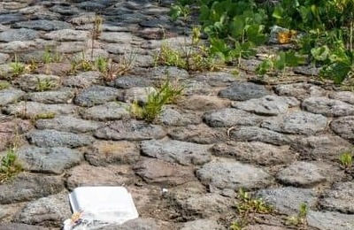 河川敷バーベキューで不法投棄、騒音だけでなく...新たに「クマ」問題が浮上　事故が起きる前に対策を講じる必要