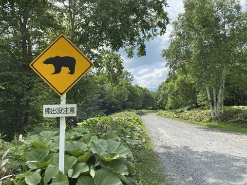 残された食べ物を求めてクマが出没する可能性も（画像はイメージ）
