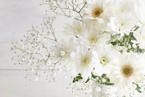 「たけし軍団」グレート義太夫さん死去　亡くなった当日の朝に更新したブログで残した言葉