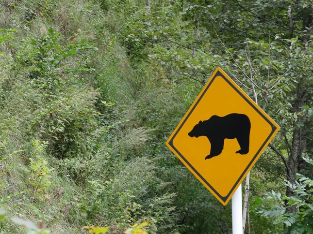 ツキノワグマには要注意（写真はイメージ）