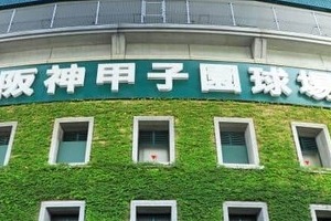 阪神、巨人どちらが有利？どうなるセ・リーグ優勝争い　巨人が逆転優勝するには「起爆剤が必要」識者検証