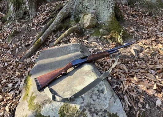都内で初の緊急銃猟が行われた（画像はイメージ）
