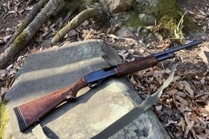 八王子の「緊急銃猟」は通報から実施まで2時間以上、羽鳥慎一さん「クマが暴れているのに」なぜ？