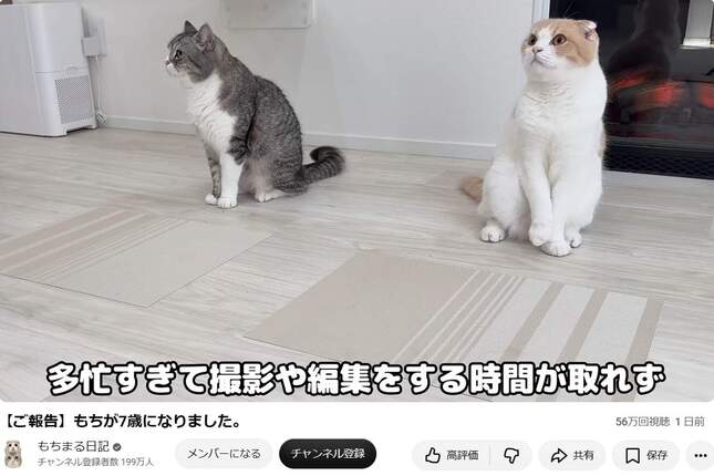 「もちまる」（右）は、もう7歳。YouTubeチャンネル「もちまる日記」から