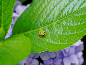 雨の日イメージ