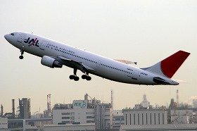 「ブルドッグお断り」の航空会社が相次いでいる