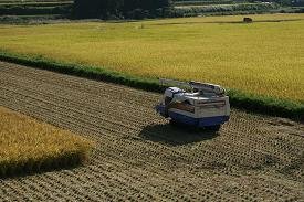 日本の食料自給率が低下している