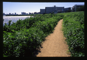 「あのときの東京（1999年～2003年）」 撮影　鷹野　晃