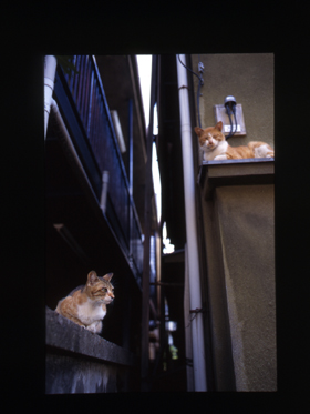 「あのときの東京（1999年～2003年）」 撮影　鷹野　晃