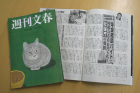 週刊文春も、2008年2月21日号の記事で年金派遣職員問題を取り上げた