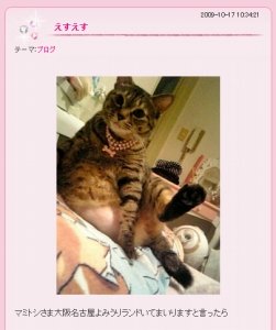 中川翔子さんの飼い猫「マミタス」。お腹には大きなハゲが