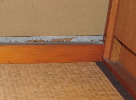 思わぬ「半壊」判定　シロウトにはわからない被害【福島・いわき発】