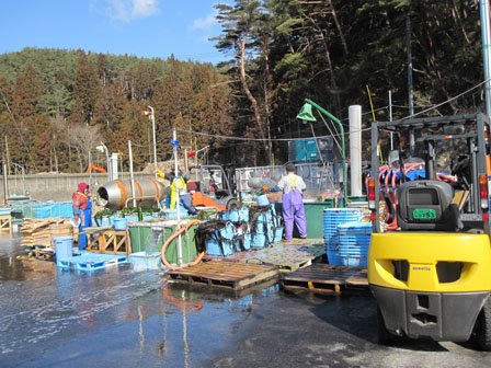 作業場は、海岸近くで行われます