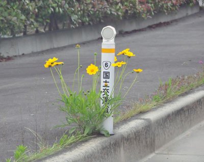 犯人はラドンだった！　井戸水の検査で100ベクレル超【福島・いわき発】