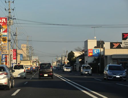 ランドマークの大ケヤキ伐採　原発事故も影響【福島・いわき発】