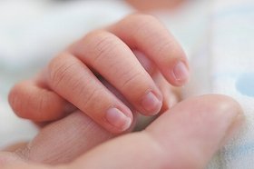 最近では4人に1人が「授かり婚」で出産している