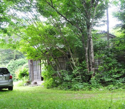 除染の目印「リボン及び杭」【福島・いわき発】