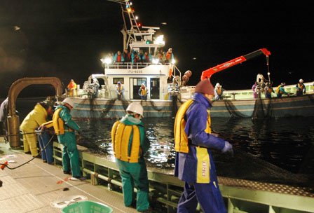 定置網の網起こしをする乗組員＝2013年11月14日午前3時30分、大槌町の大槌湾