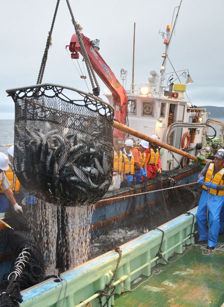 定置網から魚をすくい上げて船倉に移す漁師たち＝2012年9月5日、大槌湾