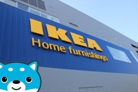 【カス丸が来る！】 <br />電車に乗って「IKEA立川」へ行こう！　4月オープンの新店を「犬から目線」でウォッチ